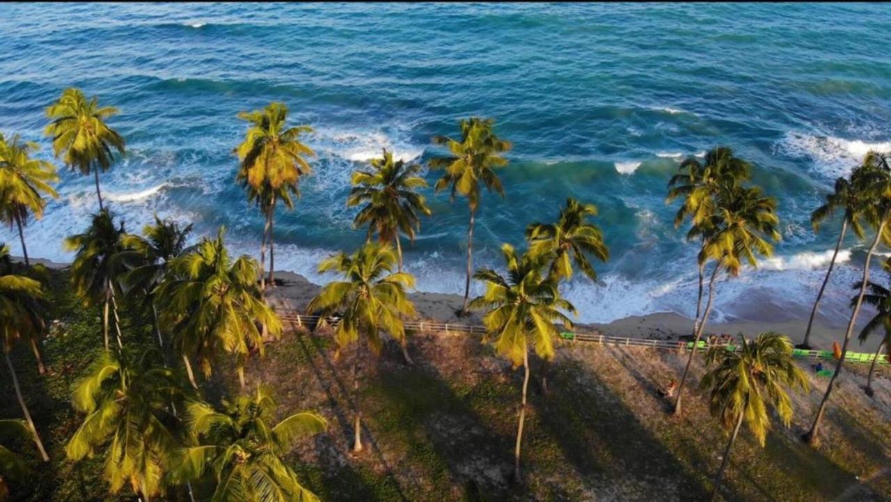 Bangalo Luxo Beira Mar Carneiros Beach Resort 普拉亚多斯卡内罗斯 外观 照片